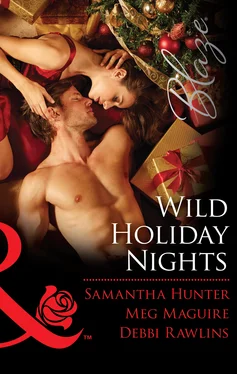 Samantha Hunter Wild Holiday Nights обложка книги