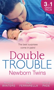 Rebecca Winters Double Trouble: Newborn Twins обложка книги