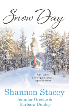 Barbara Dunlop Snow Day обложка книги
