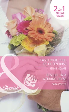 Cara Colter Passionate Chef, Ice Queen Boss / Rescued in a Wedding Dress обложка книги