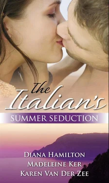 Karen Van Der Zee The Italian's Summer Seduction обложка книги