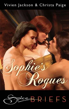 Vivien & Christa Jackson & Paige Sophie's Rogues обложка книги