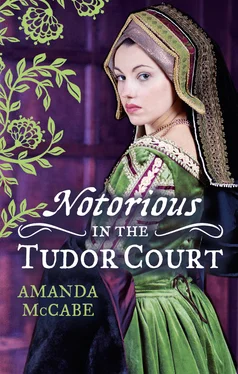 Amanda McCabe NOTORIOUS in the Tudor Court обложка книги