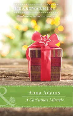 Anna Adams A Christmas Miracle