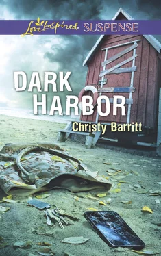 Christy Barritt Dark Harbor обложка книги