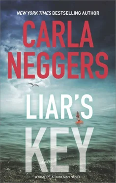 Carla Neggers Liar's Key обложка книги