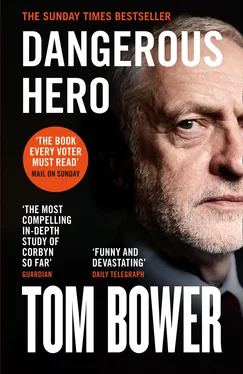 Tom Bower Dangerous Hero обложка книги