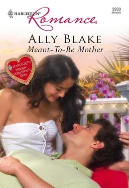 Ally Blake Meant-To-Be Mother обложка книги