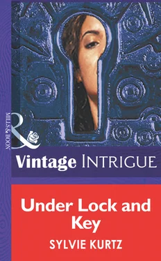 Sylvie Kurtz Under Lock And Key обложка книги