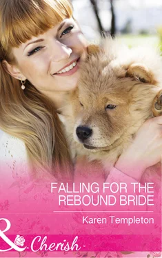Karen Templeton Falling For The Rebound Bride обложка книги