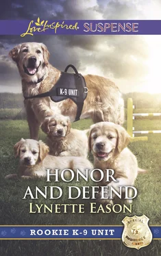 Lynette Eason Honor And Defend обложка книги