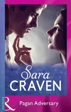 Sara Craven Pagan Adversary обложка книги