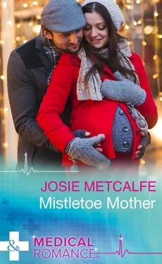 Josie Metcalfe Mistletoe Mother обложка книги