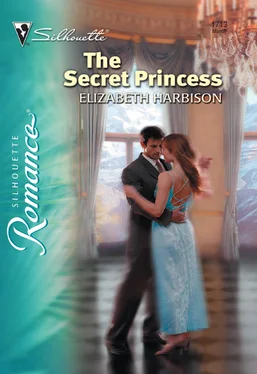 Elizabeth Harbison The Secret Princess обложка книги