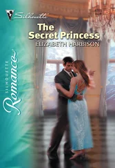 Elizabeth Harbison - The Secret Princess