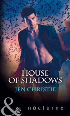 Jen Christie House Of Shadows обложка книги