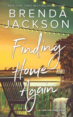 Brenda Jackson Finding Home Again обложка книги