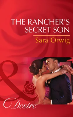 Sara Orwig The Rancher's Secret Son обложка книги