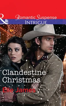 Elle James Clandestine Christmas обложка книги
