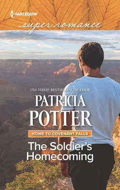 Patricia Potter The Soldier's Homecoming