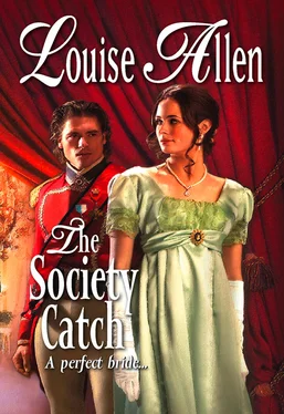 Louise Allen The Society Catch обложка книги