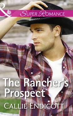 Callie Endicott The Rancher's Prospect обложка книги