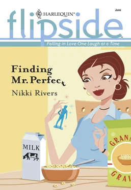 Nikki Rivers Finding Mr. Perfect обложка книги