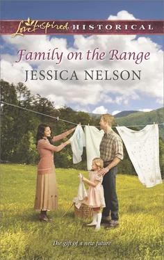 Jessica Nelson Family on the Range обложка книги