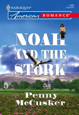 Penny McCusker Noah And The Stork обложка книги