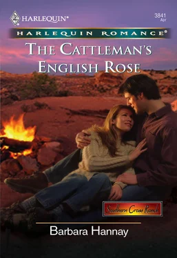 Barbara Hannay The Cattleman's English Rose обложка книги