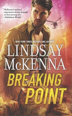 Lindsay McKenna Breaking Point обложка книги