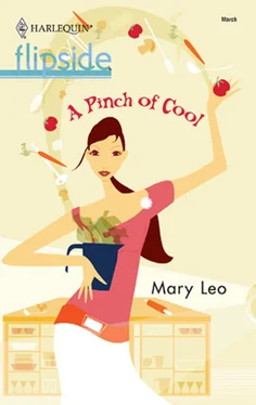 Mary Leo A Pinch of Cool обложка книги