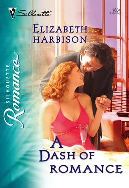 Elizabeth Harbison A Dash of Romance обложка книги