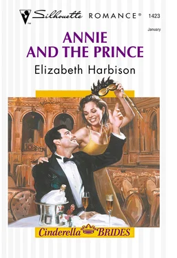 Elizabeth Harbison Annie And The Prince обложка книги