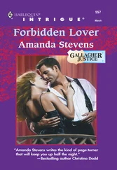 Amanda Stevens - Forbidden Lover