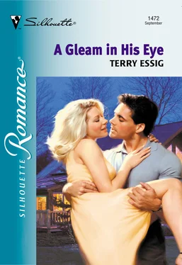 Terry Essig A Gleam In His Eye обложка книги