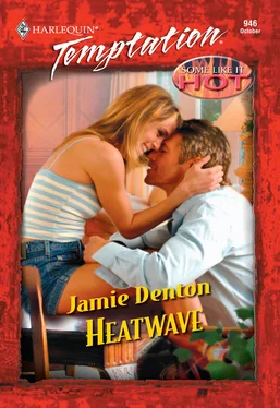 Jamie Denton Heatwave обложка книги