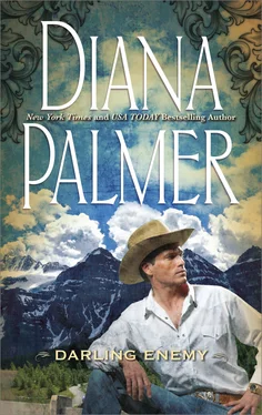 Diana Palmer Darling Enemy обложка книги