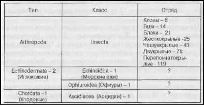 беспозвоночных животных настоящие чудовища дающие богатую пищу для воображения - фото 55