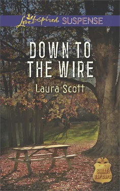 Laura Scott Down to the Wire обложка книги