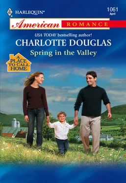 Charlotte Douglas Spring In The Valley обложка книги