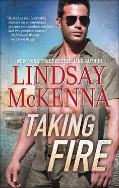 Lindsay McKenna Taking Fire обложка книги