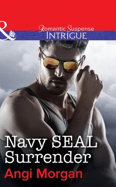 Angi Morgan Navy SEAL Surrender обложка книги