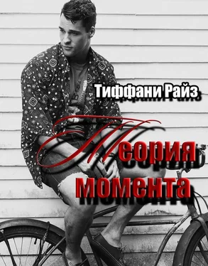 Тиффани Райз Теория момента обложка книги