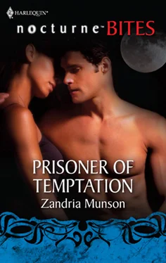 Zandria Munson Prisoner of Temptation обложка книги