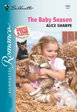 Alice Sharpe The Baby Season обложка книги