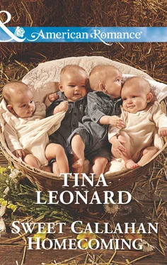 Tina Leonard Sweet Callahan Homecoming обложка книги
