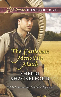 Sherri Shackelford The Cattleman Meets His Match обложка книги