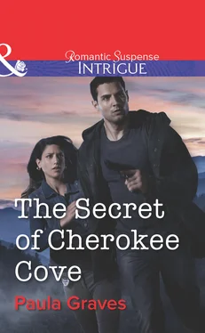 Paula Graves The Secret of Cherokee Cove обложка книги