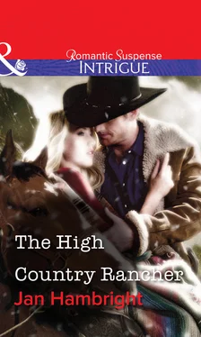 Jan Hambright The High Country Rancher обложка книги